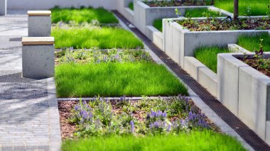 Konut binasının yanındaki bahçe ve kamu bahçesinin bir kısmı..