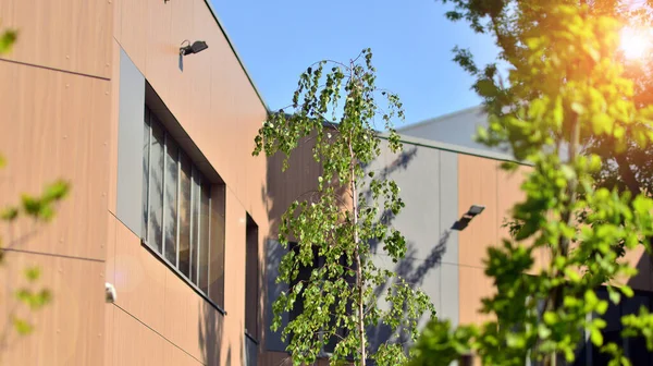太陽の光とガラス上の近代的な商業ビルの反射 エコ建築 緑の木とガラスのオフィスビル 自然と現代の調和 — ストック写真
