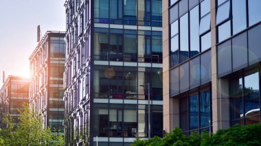 Modern ticari binanın güneş ışığıyla yansıması. Çevre mimarisi. Yeşil ağaç ve cam ofis binası. Doğanın ve modernliğin ahengi. 