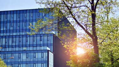 Modern ticari binanın güneş ışığıyla yansıması. Çevre mimarisi. Yeşil ağaç ve cam ofis binası. Doğanın ve modernliğin ahengi. 