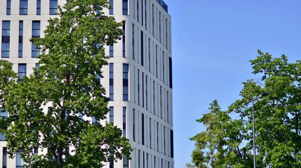 Modern Ticari Binanın Güneş Işığıyla Yansıması Çevre Mimarisi Yeşil Ağaç — Stok fotoğraf