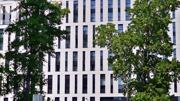 Refleksja Nowoczesnego Budynku Komercyjnego Szkle Światłem Słonecznym Architektura Ekologiczna Zielone — Zdjęcie stockowe