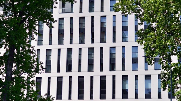 现代商业建筑在玻璃上反射的阳光 生态建筑 绿树和玻璃办公楼 自然与现代的和谐 — 图库照片
