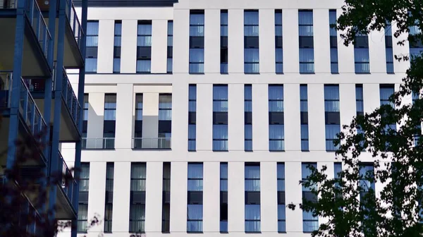 현대식 건물을 햇빛을 유리에 반사시키는 것이다 아키텍처 나무와 사무실 근대화의 — 스톡 사진