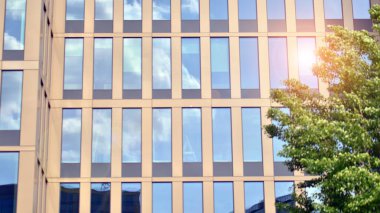 Modern ticari binanın güneş ışığıyla yansıması. Çevre mimarisi. Yeşil ağaç ve cam ofis binası. Doğanın ve modernliğin ahengi. 