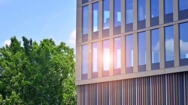 Modern ticari binanın güneş ışığıyla yansıması. Çevre mimarisi. Yeşil ağaç ve cam ofis binası. Doğanın ve modernliğin ahengi. 
