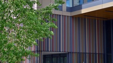 Modern ticari binanın güneş ışığıyla yansıması. Çevre mimarisi. Yeşil ağaç ve cam ofis binası. Doğanın ve modernliğin ahengi. 