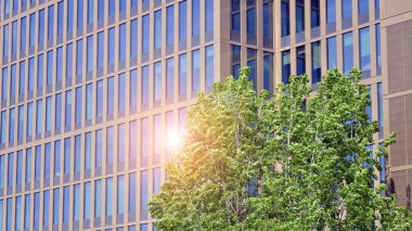Modern ticari binanın güneş ışığıyla yansıması. Çevre mimarisi. Yeşil ağaç ve cam ofis binası. Doğanın ve modernliğin ahengi. 