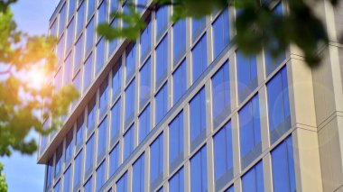 Modern ticari binanın güneş ışığıyla yansıması. Çevre mimarisi. Yeşil ağaç ve cam ofis binası. Doğanın ve modernliğin ahengi. 
