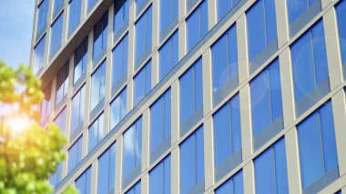 Modern ticari binanın güneş ışığıyla yansıması. Çevre mimarisi. Yeşil ağaç ve cam ofis binası. Doğanın ve modernliğin ahengi. 