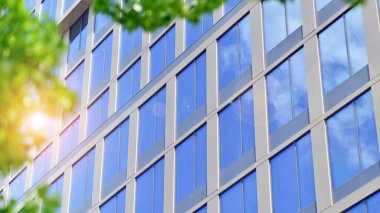 Modern ticari binanın güneş ışığıyla yansıması. Çevre mimarisi. Yeşil ağaç ve cam ofis binası. Doğanın ve modernliğin ahengi. 