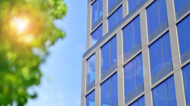 Modern ticari binanın güneş ışığıyla yansıması. Çevre mimarisi. Yeşil ağaç ve cam ofis binası. Doğanın ve modernliğin ahengi. 