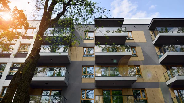Eco architecture. Green tree and new apartment building. The harmony of nature and modernity. Modern residential building with new apartments in a green residential area.