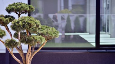 Açık fikirli zarif bir beyaz saray. Modern lüks villanın dış görünüşü. Geniş camlı, modern bir ev..