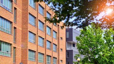 Çevre mimarisi. Binadaki ön cam ve alüminyum panellerin detayları. Yeşil ağaç ve modern ofis binası. Doğanın ve modernliğin ahengi. 