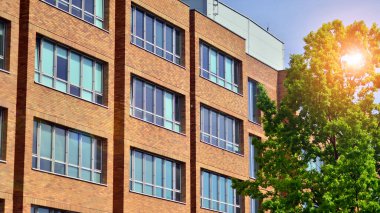 Çevre mimarisi. Binadaki ön cam ve alüminyum panellerin detayları. Yeşil ağaç ve modern ofis binası. Doğanın ve modernliğin ahengi. 