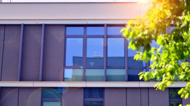 Çevre mimarisi. Binadaki ön cam ve alüminyum panellerin detayları. Yeşil ağaç ve modern ofis binası. Doğanın ve modernliğin ahengi. 