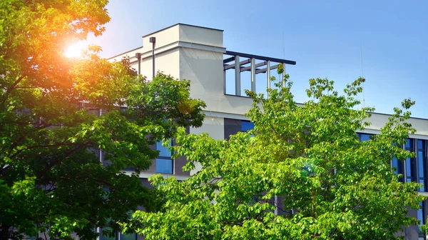 エコ建築 建物のファサードガラスとアルミパネルの詳細 緑の木と近代的なオフィスビル 自然と現代の調和 — ストック写真
