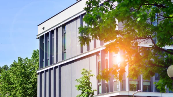 エコ建築 建物のファサードガラスとアルミパネルの詳細 緑の木と近代的なオフィスビル 自然と現代の調和 — ストック写真