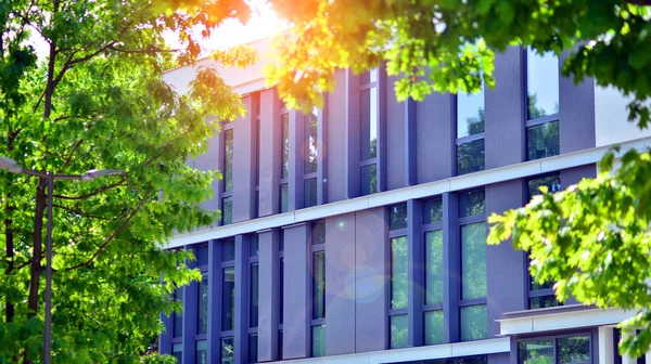 Eco architecture. Details of facade glass and aluminum panels on  building. Green tree and modern office building. The harmony of nature and modernity.