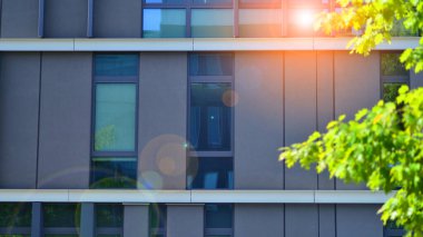 Çevre mimarisi. Binadaki ön cam ve alüminyum panellerin detayları. Yeşil ağaç ve modern ofis binası. Doğanın ve modernliğin ahengi. 
