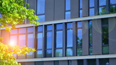 Çevre mimarisi. Binadaki ön cam ve alüminyum panellerin detayları. Yeşil ağaç ve modern ofis binası. Doğanın ve modernliğin ahengi. 