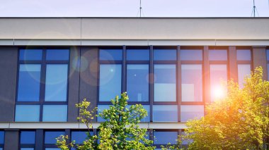 Çevre mimarisi. Binadaki ön cam ve alüminyum panellerin detayları. Yeşil ağaç ve modern ofis binası. Doğanın ve modernliğin ahengi. 
