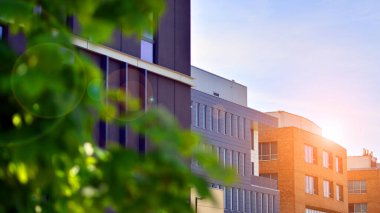 Çevre mimarisi. Binadaki ön cam ve alüminyum panellerin detayları. Yeşil ağaç ve modern ofis binası. Doğanın ve modernliğin ahengi. 