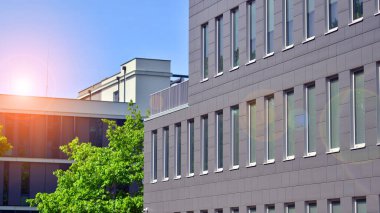 Çevre mimarisi. Binadaki ön cam ve alüminyum panellerin detayları. Yeşil ağaç ve modern ofis binası. Doğanın ve modernliğin ahengi. 