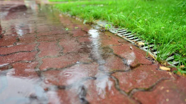 Starkregen Auf Dem Gehweg Regenwasser Überflutet Gehweg Garten — Stockfoto