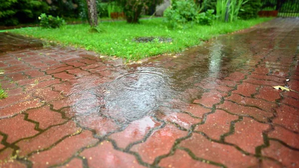 Drops of heavy rain on sidewalk surface. Rain water on the surface of the flood the sidewalk in garden.