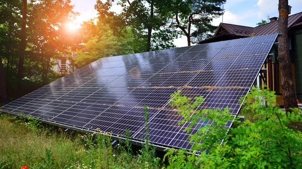Fotovoltaik Paneller Ağaçların Çalıların Arka Planına Karşı Asfalt Bir Yüzey — Stok fotoğraf