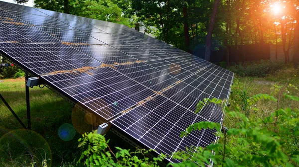 Fotovoltaik Paneller Ağaçların Çalıların Arka Planına Karşı Asfalt Bir Yüzey — Stok fotoğraf