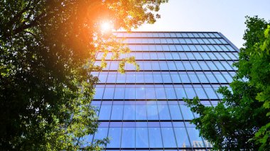 Çevre mimarisi. Yeşil ağaç ve cam ofis binası. Doğanın ve modernliğin ahengi. Modern ticari binanın yansıması güneş ışığıyla cam üzerine.. 