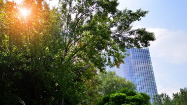 Yeşil yerleşim bölgesinde yeni daireleri olan modern bir yerleşim yeri. Çevre mimarisi. Yeşil ağaç ve yeni apartman. Doğanın ve modernliğin ahengi.