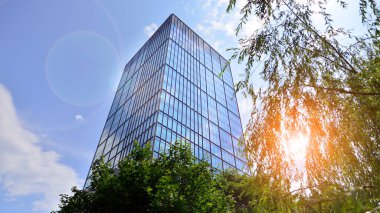 Çevre mimarisi. Yeşil ağaç ve cam ofis binası. Doğanın ve modernliğin ahengi. Modern ticari binanın yansıması güneş ışığıyla cam üzerine.. 