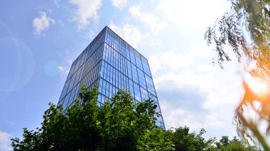 Çevre mimarisi. Yeşil ağaç ve cam ofis binası. Doğanın ve modernliğin ahengi. Modern ticari binanın yansıması güneş ışığıyla cam üzerine.. 
