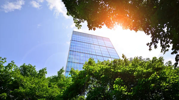 stock image Eco architecture. Green tree and glass office building. The harmony of nature and modernity. Reflection of modern commercial building on glass with sunlight. 