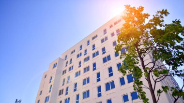 Ağaçların çevresindeki modern bir yerleşim yeri. Ekoloji ve yeşil yaşam şehirde, kentsel çevre kavramı. Modern apartman ve yeşil ağaçlar. Ekolojik konut mimarisi. 