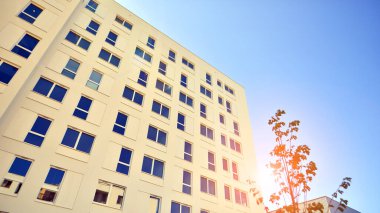 Ağaçların çevresindeki modern bir yerleşim yeri. Ekoloji ve yeşil yaşam şehirde, kentsel çevre kavramı. Modern apartman ve yeşil ağaçlar. Ekolojik konut mimarisi. 