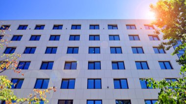 Karbondioksiti azaltmak için ağaçlı sürdürülebilir cam ofis binası. Modern şehirde çevre dostu bir bina. Yeşil çevresi olan bir ofis. Şirket binası CO2 'yi düşürdü.