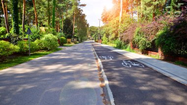 Pedestrian walkway and street  lined up with beautiful tall trees Beautiful green suburbs of the city
