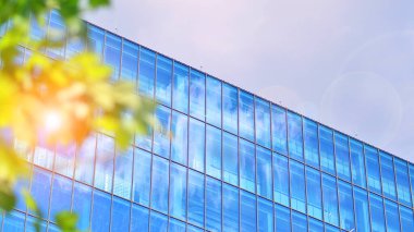 Modern ticari binanın güneş ışığıyla yansıması. Çevre mimarisi. Yeşil ağaç ve cam ofis binası. Doğanın ve modernliğin ahengi. 