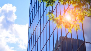 Modern ticari binanın güneş ışığıyla yansıması. Çevre mimarisi. Yeşil ağaç ve cam ofis binası. Doğanın ve modernliğin ahengi. 