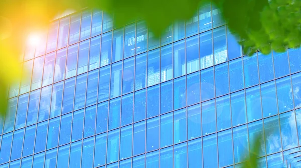 Reflection of modern commercial building on glass with sunlight. Eco architecture. Green tree and glass office building. The harmony of nature and modernity.
