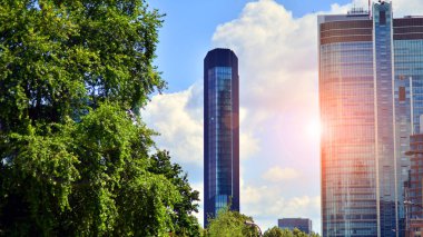 Modern ticari binanın güneş ışığıyla yansıması. Çevre mimarisi. Yeşil ağaç ve cam ofis binası. Doğanın ve modernliğin ahengi. 