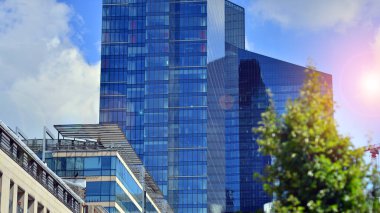 Modern ticari binanın güneş ışığıyla yansıması. Çevre mimarisi. Yeşil ağaç ve cam ofis binası. Doğanın ve modernliğin ahengi. 