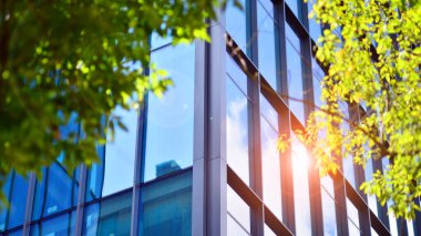 Modern ticari binanın güneş ışığıyla yansıması. Çevre mimarisi. Yeşil ağaç ve cam ofis binası. Doğanın ve modernliğin ahengi. 