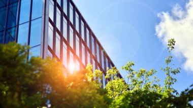 Modern ticari binanın güneş ışığıyla yansıması. Çevre mimarisi. Yeşil ağaç ve cam ofis binası. Doğanın ve modernliğin ahengi. 