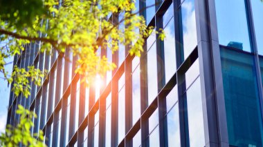 Modern ticari binanın güneş ışığıyla yansıması. Çevre mimarisi. Yeşil ağaç ve cam ofis binası. Doğanın ve modernliğin ahengi. 